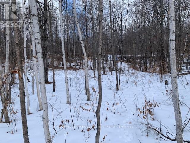 0 Red Pine Road, Tay Valley, Ontario K0H 2B0 - Photo 4 - X12942490