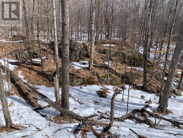 0 Red Pine Road, Tay Valley, Ontario K0H 2B0 - Photo 18 - X12942490