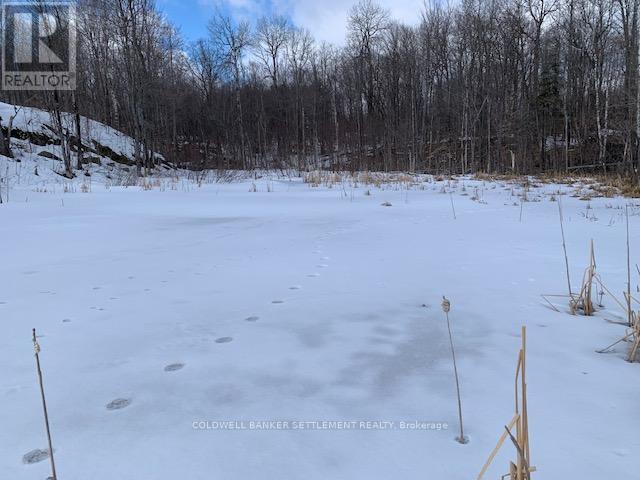 0 Red Pine Road, Tay Valley, Ontario K0H 2B0 - Photo 8 - X12942490