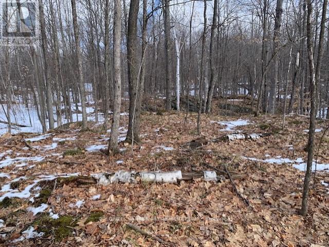 0 Red Pine Road, Tay Valley, Ontario K0H 2B0 - Photo 5 - X12942490