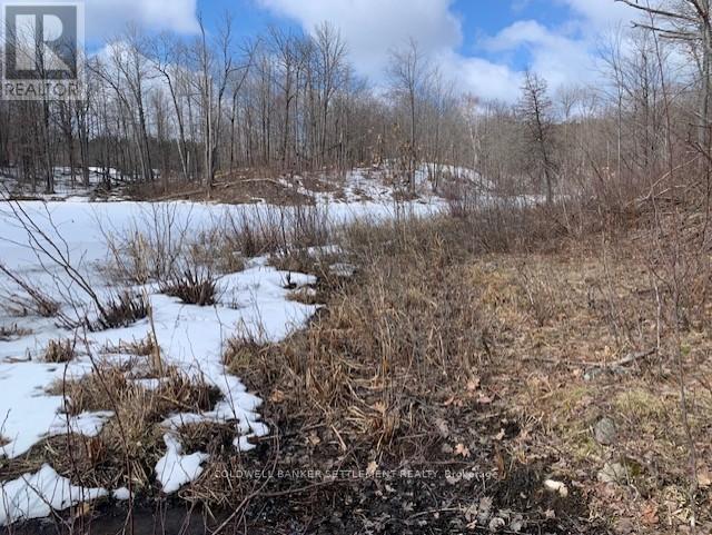 0 Red Pine Road, Tay Valley, Ontario K0H 2B0 - Photo 7 - X12942490