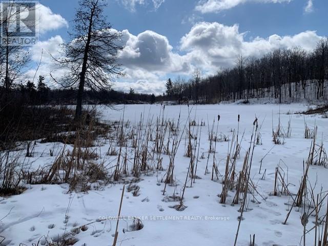 0 Red Pine Road, Tay Valley, Ontario K0H 2B0 - Photo 11 - X12942490