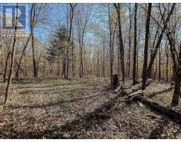 2494 HADLINGTON ROAD, Highlands East, Ontario