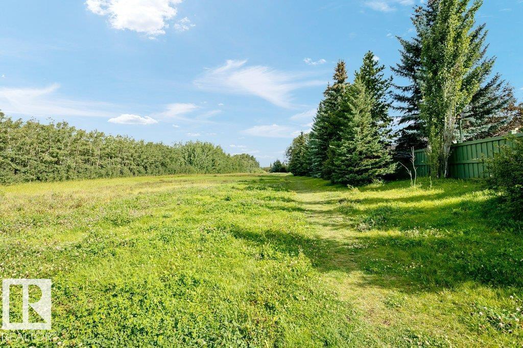 781 Wells Wd Nw, Edmonton, Alberta  T6M 2J8 - Photo 68 - E4479978