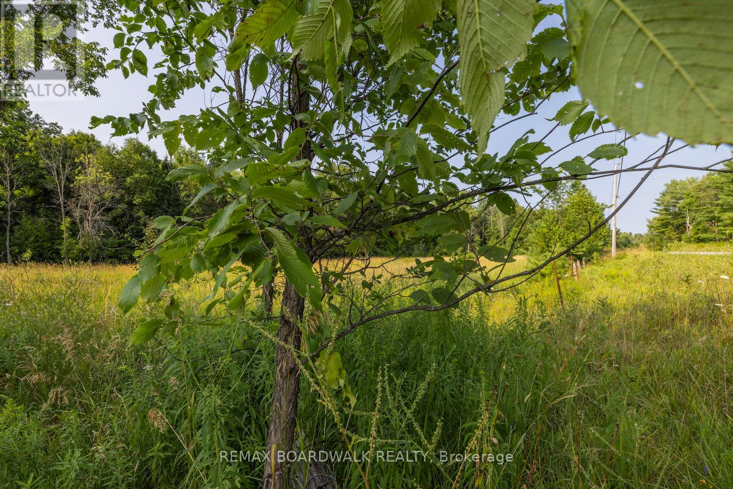 752 Bennett Lake Road, Tay Valley, Ontario  K0G 1A0 - Photo 10 - X12943078