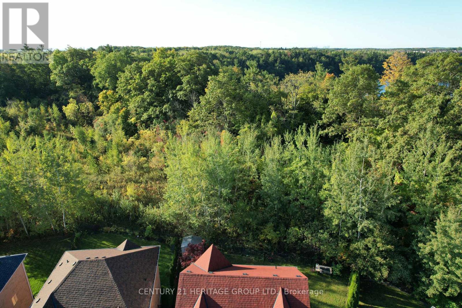 20 Trish Drive, Richmond Hill, Ontario  L4E 5C5 - Photo 35 - N12943040