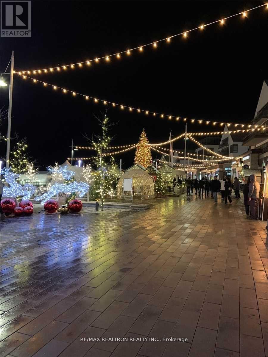 D229 - 333 Sea Ray Avenue, Innisfil, Ontario  L9S 0M3 - Photo 38 - N12943272