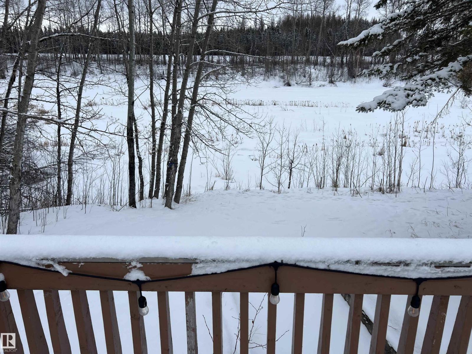 16239 Birch Grove Rd, Rural Lac La Biche County, Alberta  T0A 2T0 - Photo 33 - E4479980