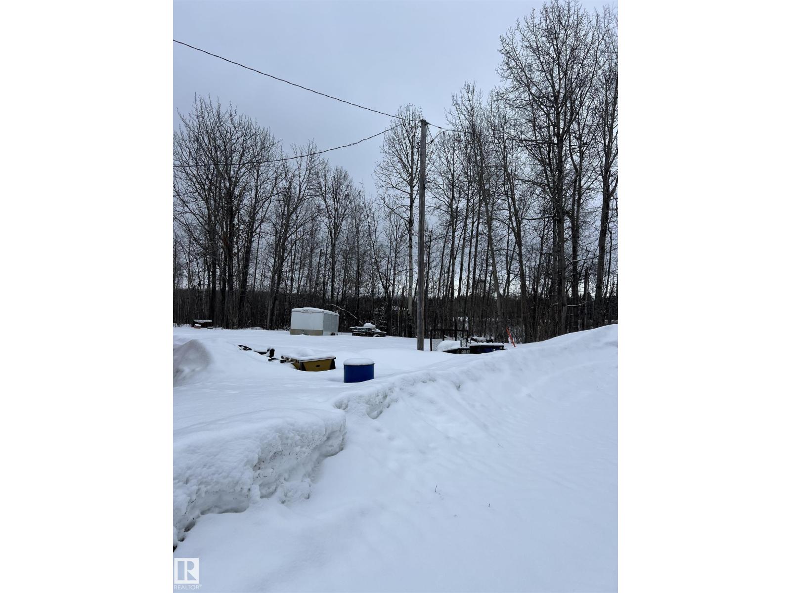 16239 Birch Grove Rd, Rural Lac La Biche County, Alberta  T0A 2T0 - Photo 36 - E4479980