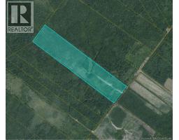 00 Woodlot Chemin Saint-Irenee, saint-maurice, New Brunswick