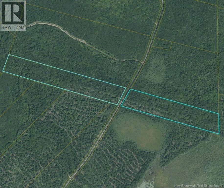 00 Woodlot 99 Chemin Richard - Saint-Norbert, Saint-Norbert, New Brunswick  E4S 2R4 - Photo 1 - NB136293