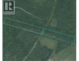 00 Woodlot 99 Chemin Richard - Saint-Norbert, saint-norbert, New Brunswick