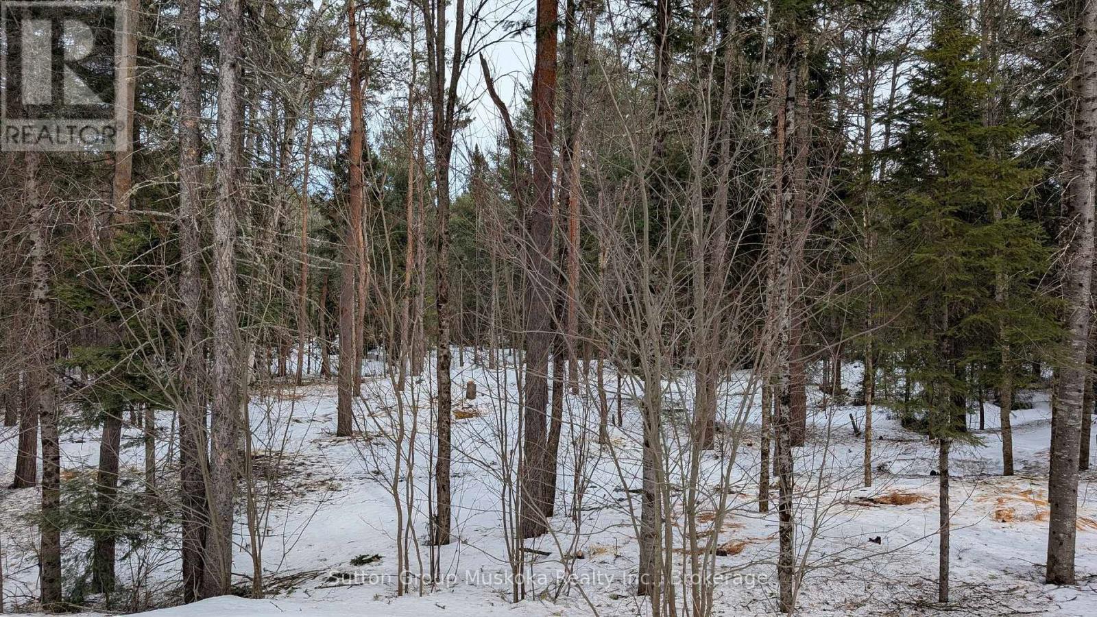 Lot 1 Red Pine Trail, Bracebridge, Ontario  P0B 1L0 - Photo 3 - X12943530
