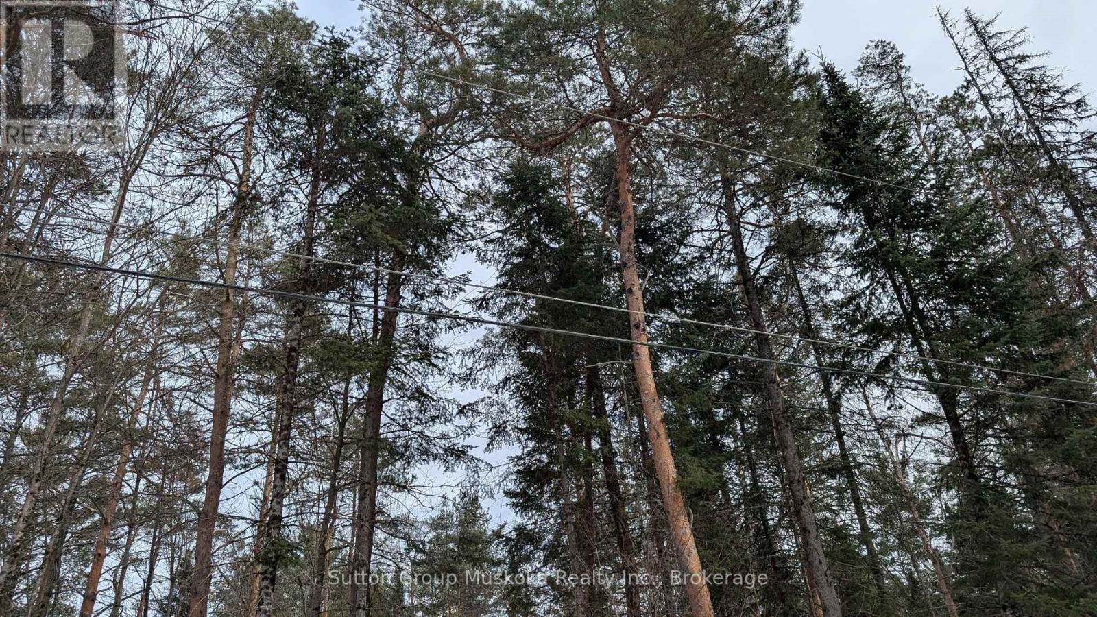 Lot 1 Red Pine Trail, Bracebridge, Ontario  P0B 1L0 - Photo 7 - X12943530