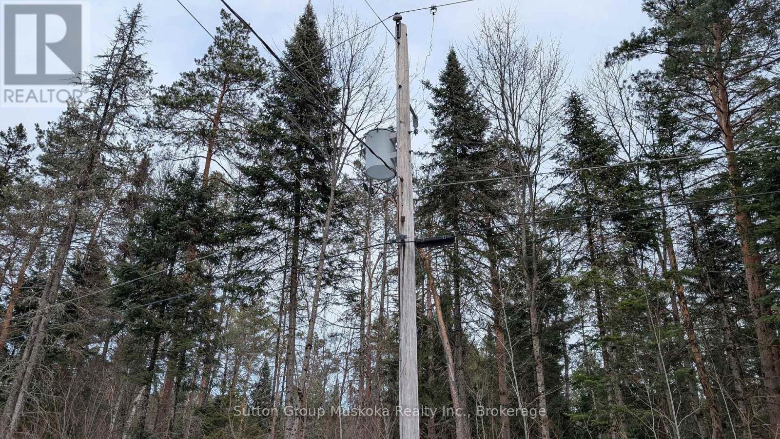 Lot 1 Red Pine Trail, Bracebridge, Ontario  P0B 1L0 - Photo 8 - X12943530