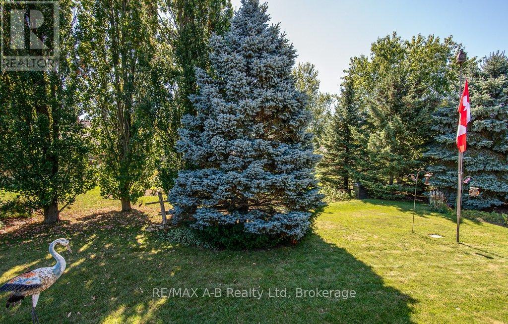 25 Baechler Avenue, East Zorra-Tavistock, Ontario  N0B 2R0 - Photo 11 - X12943586