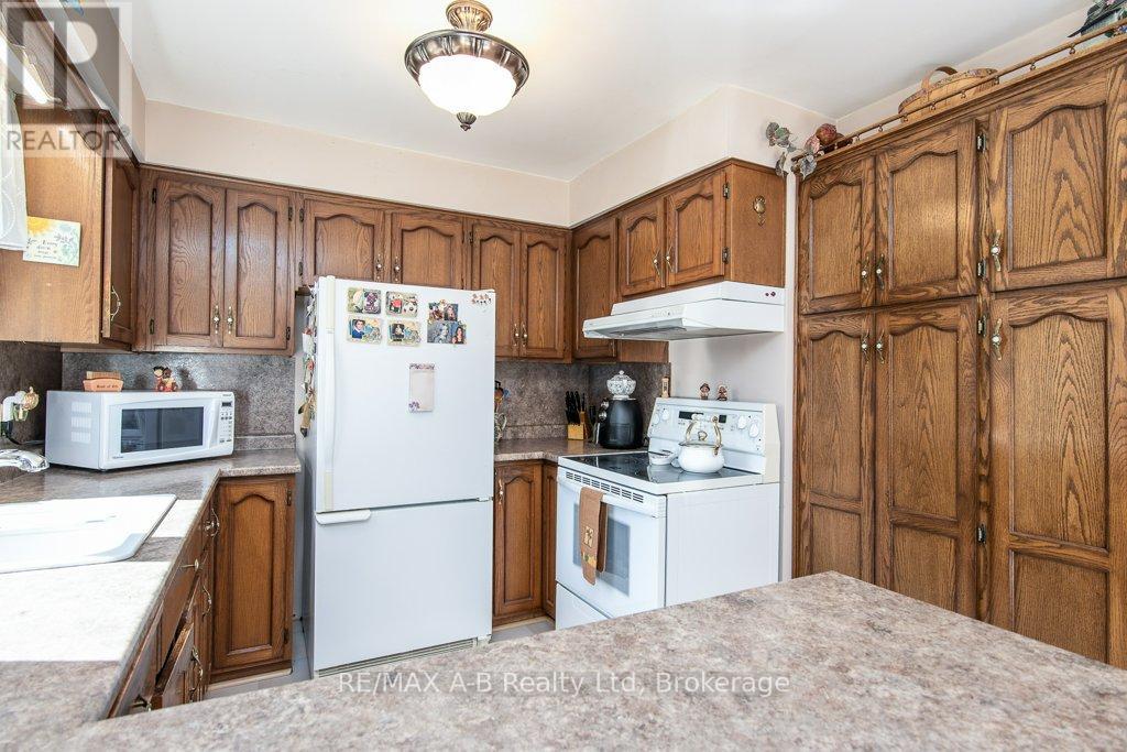 25 Baechler Avenue, East Zorra-Tavistock, Ontario  N0B 2R0 - Photo 19 - X12943586