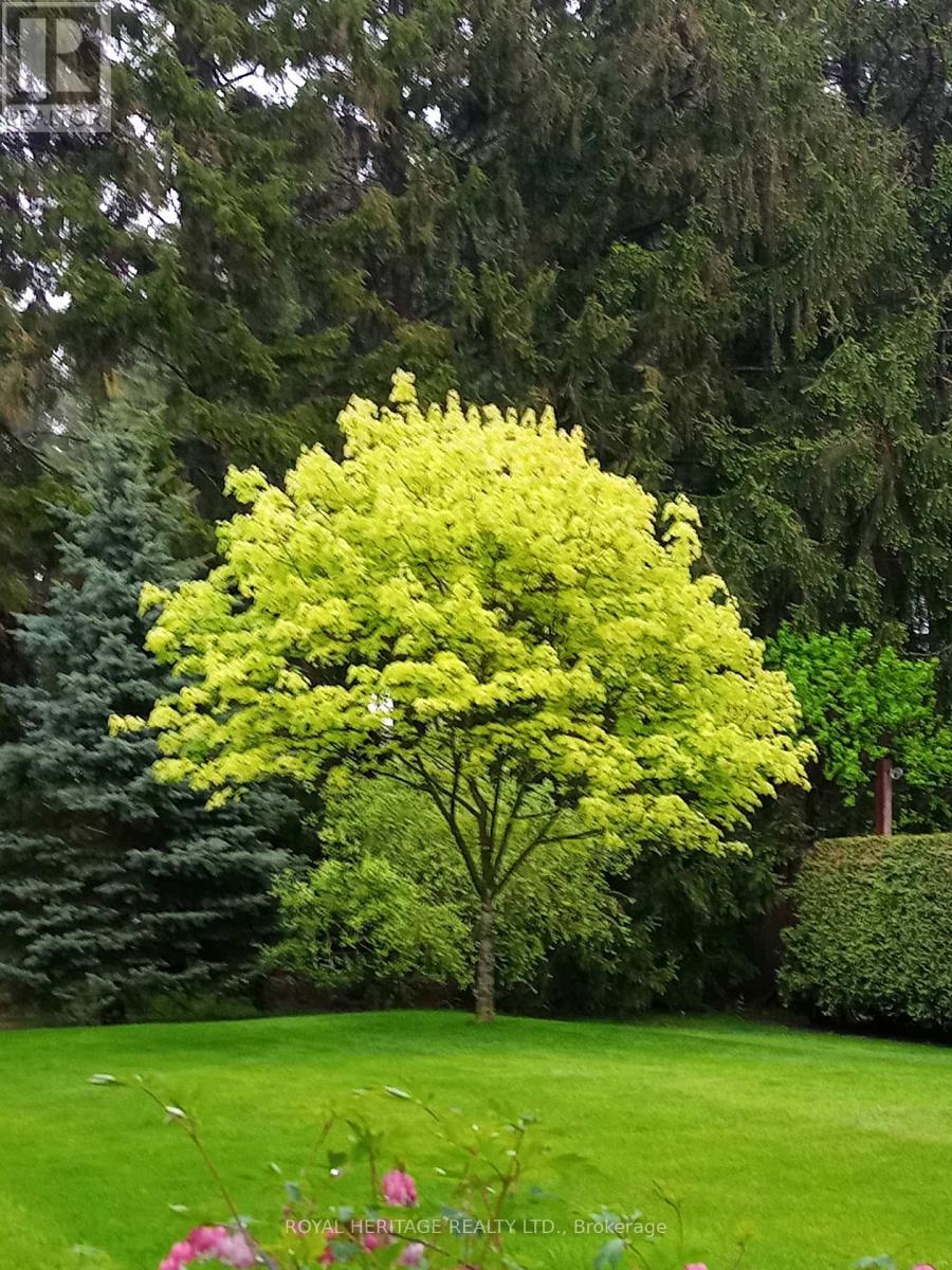 3 Rose Glen Road S, Port Hope, Ontario  L1A 3V6 - Photo 41 - X12943378