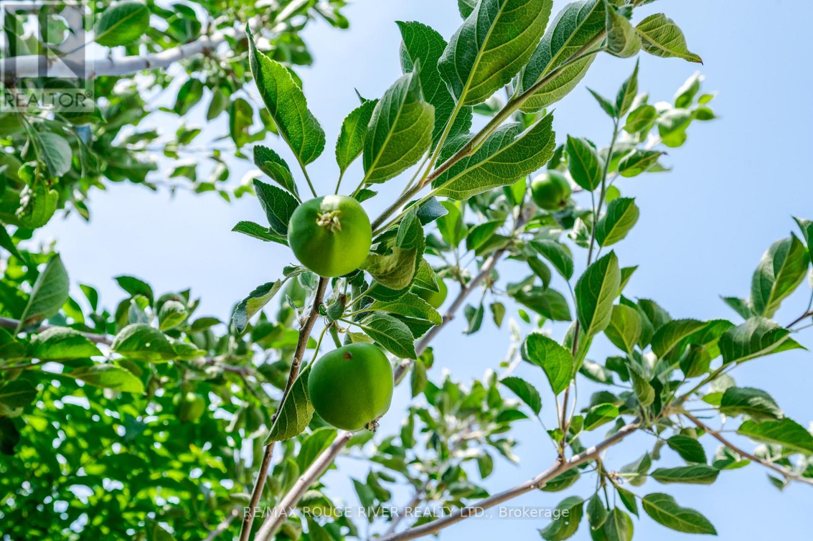 875 Westwood Crescent, Cobourg, Ontario  K9A 5B3 - Photo 40 - X12943474