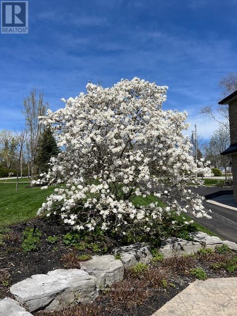 285 Stephenson Point Road, Scugog, Ontario  L9L 1B4 - Photo 6 - E12943430