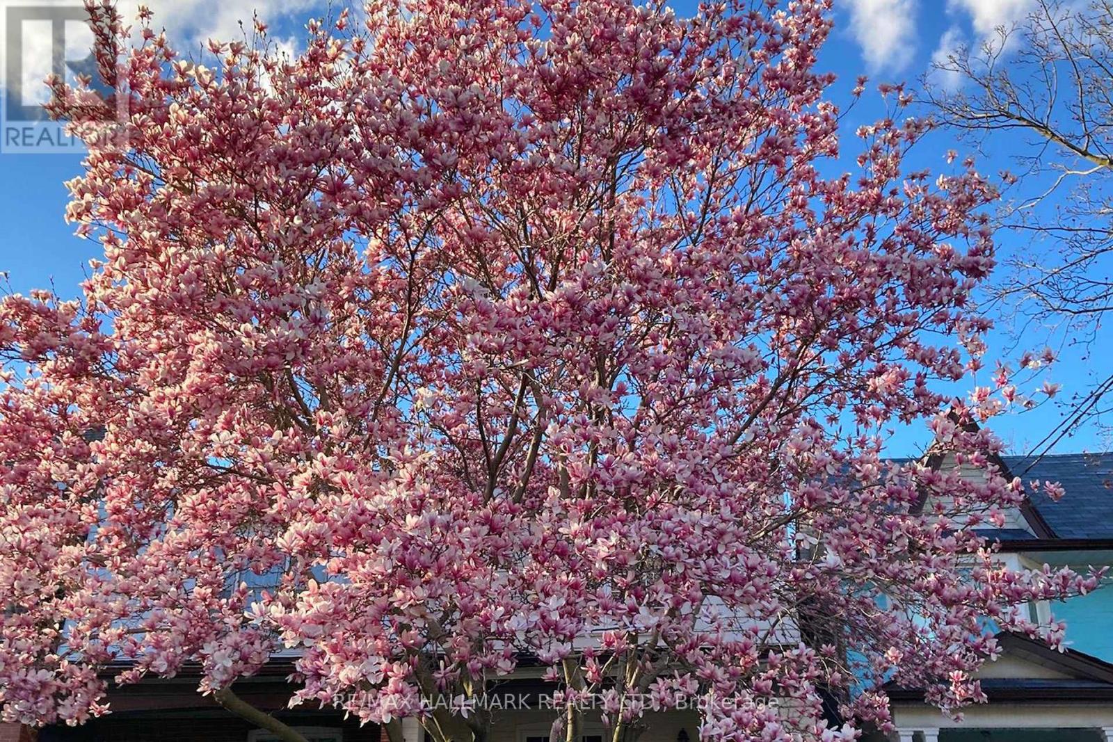 24 Richard Avenue, Toronto, Ontario  M4L 1W9 - Photo 45 - E12943782