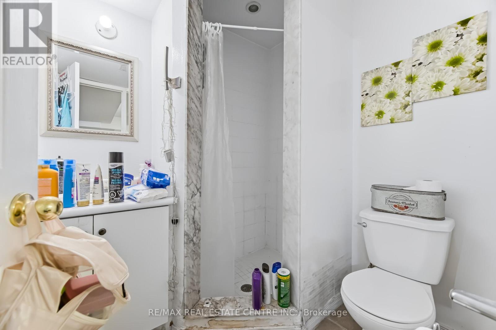 28 Mount Fuji Crescent, Brampton, Ontario  L6R 2L3 - Photo 42 - W12943700