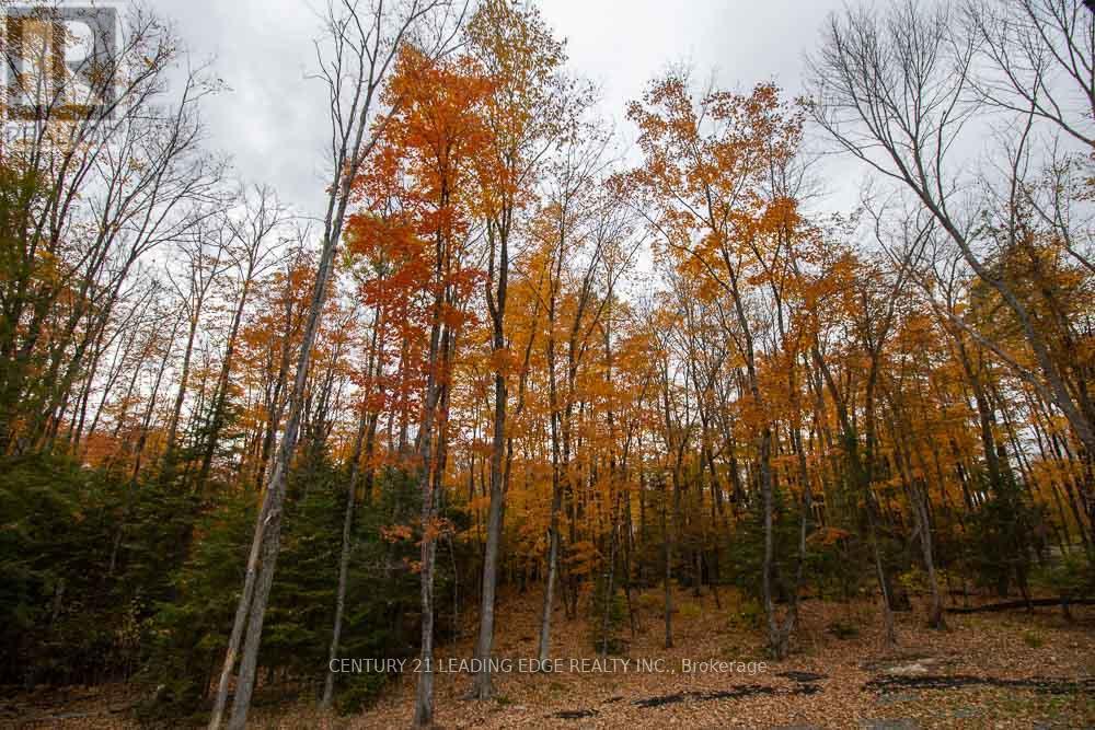 1056 Lippert Lane, Faraday, Ontario  K0L 1C0 - Photo 30 - X12943468