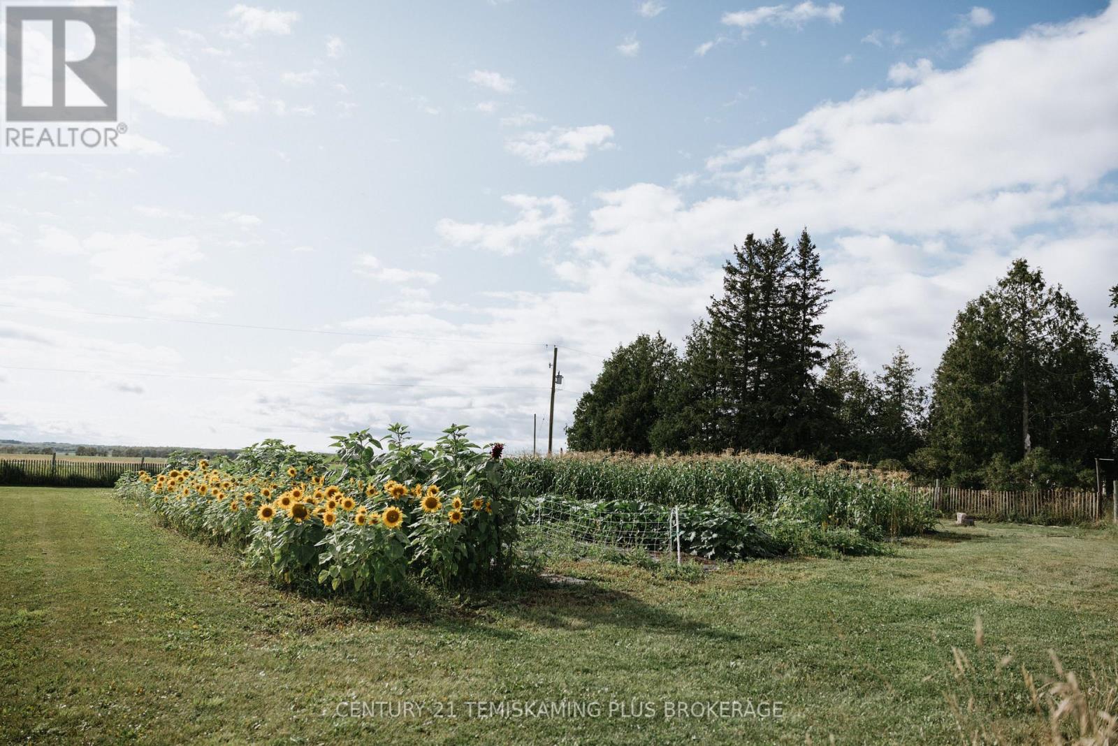 46774 Highway 562, Timiskaming, Ontario  P0J 1S0 - Photo 32 - T12944124