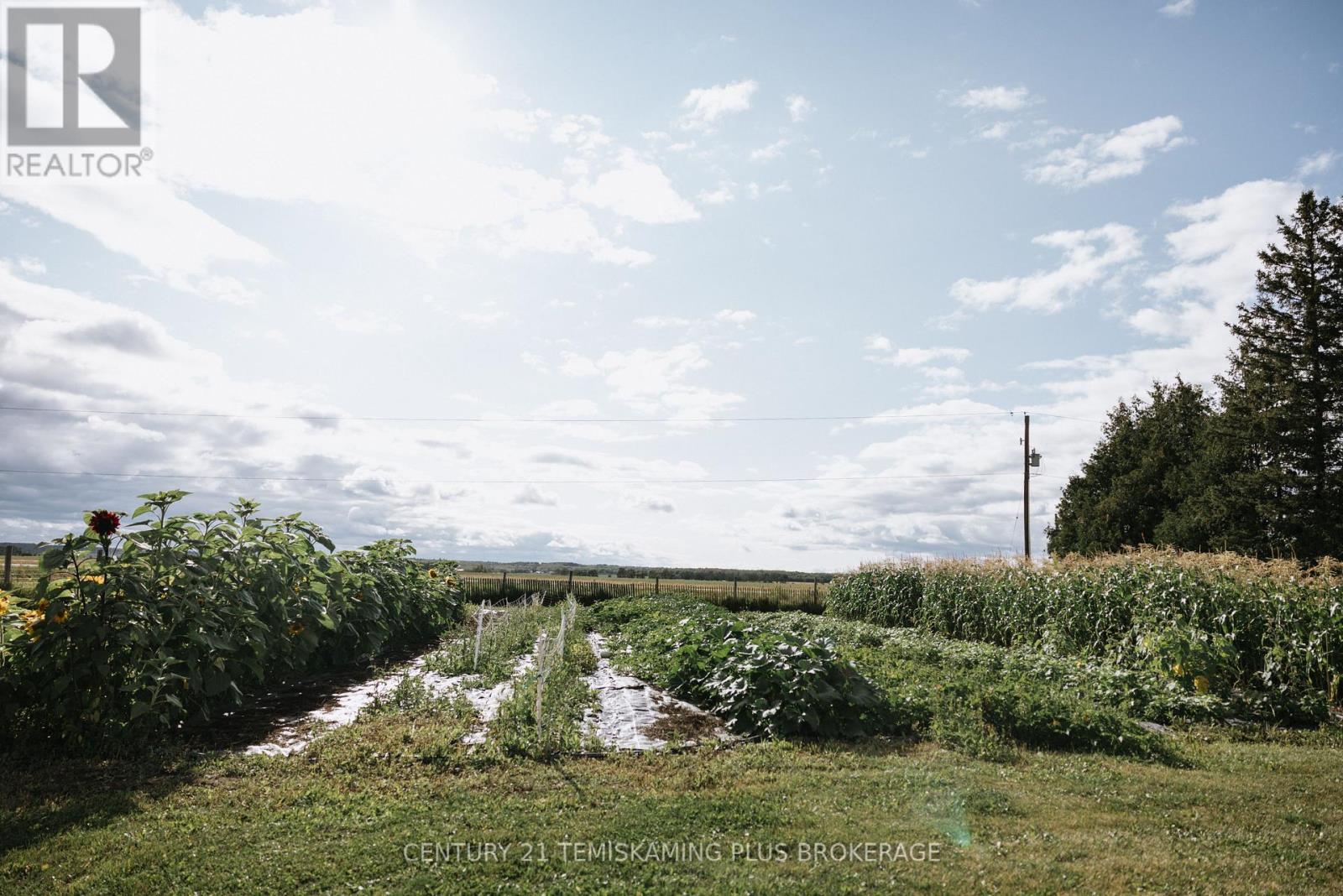 46774 Highway 562, Timiskaming, Ontario  P0J 1S0 - Photo 33 - T12944124