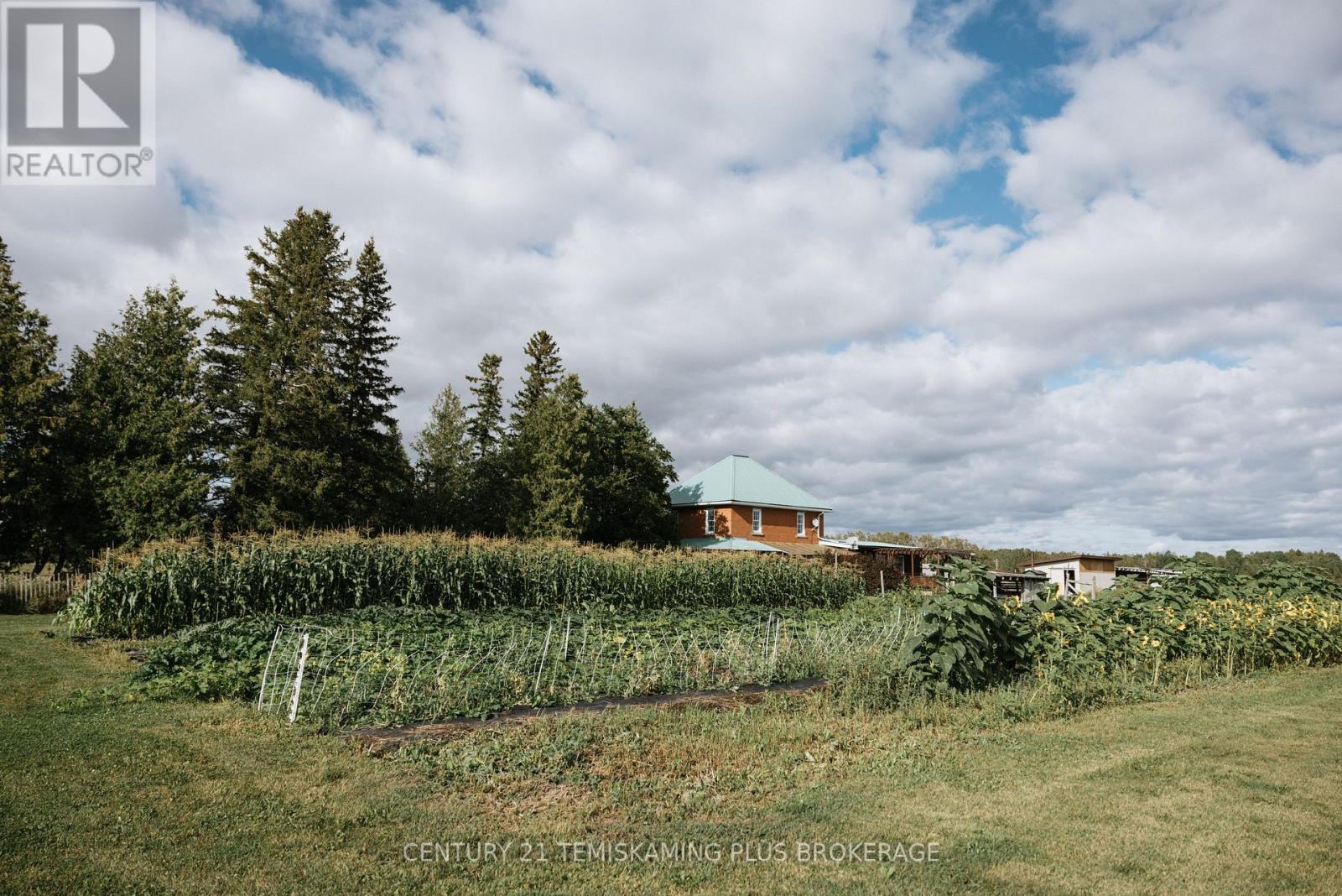 46774 Highway 562, Timiskaming, Ontario  P0J 1S0 - Photo 34 - T12944124