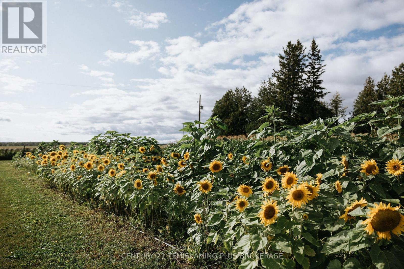 46774 Highway 562, Timiskaming, Ontario  P0J 1S0 - Photo 35 - T12944124