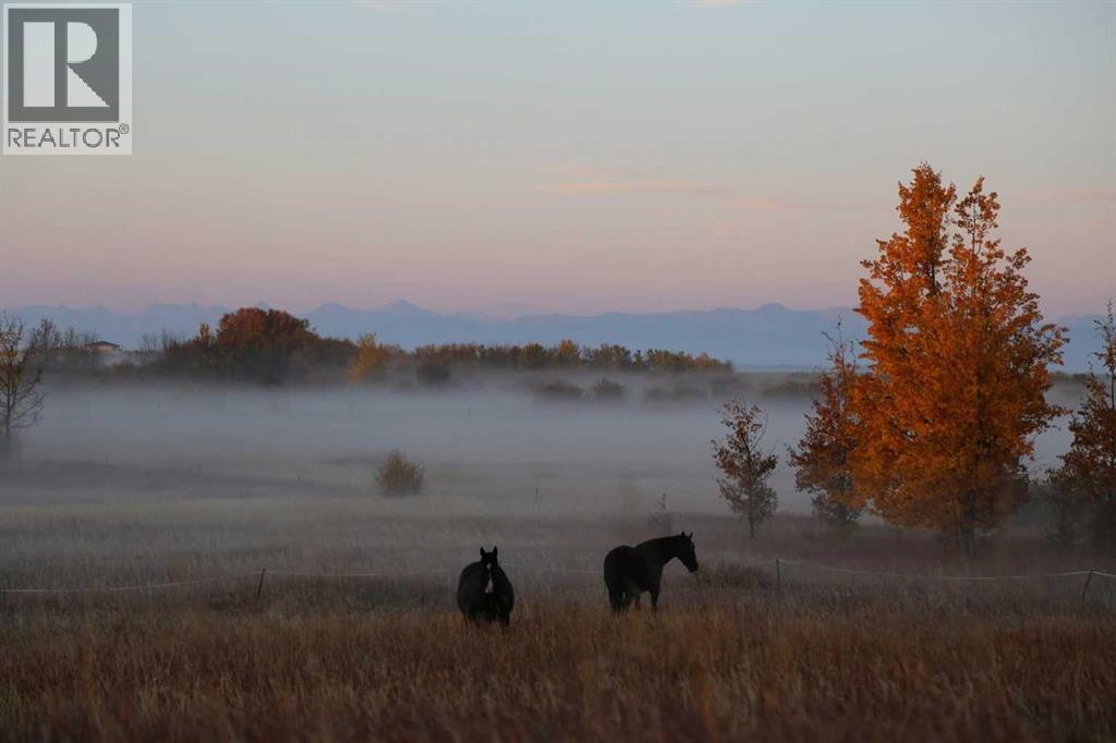 41031 Camden Lane, Rural Rocky View County, Alberta  T4C 1A1 - Photo 46 - A2265604