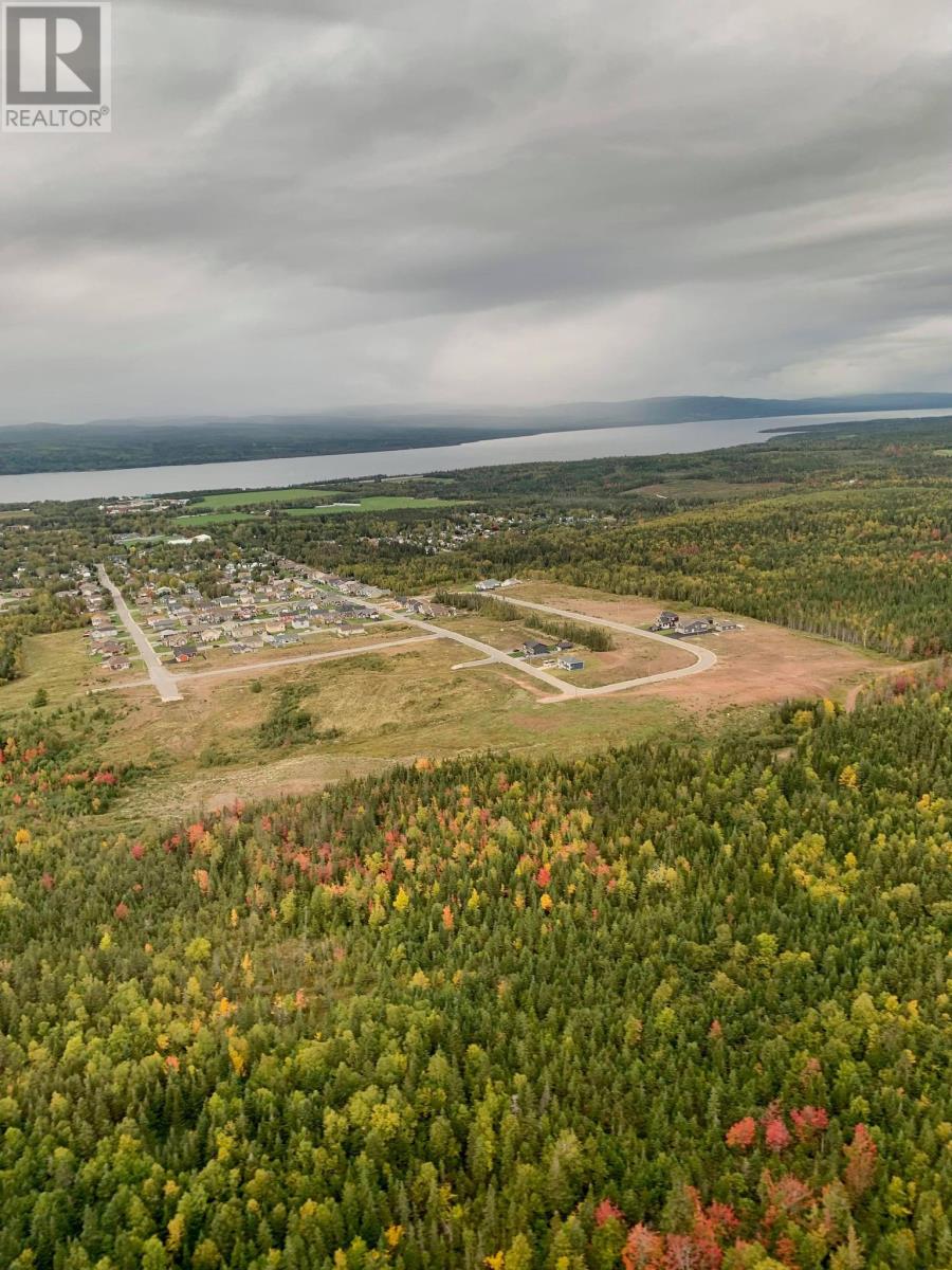 22 Harvey Wight Crescent, Pasadena, Newfoundland & Labrador  A0L 1K0 - Photo 2 - 1238296