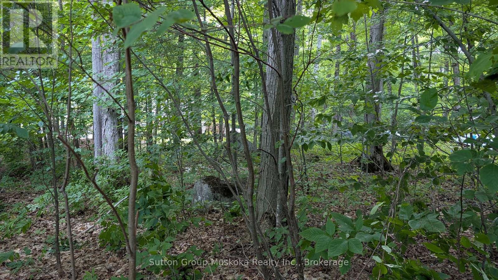 837 Aspdin Road, Huntsville, Ontario P1H 0H2 - Photo 5 - X12944008