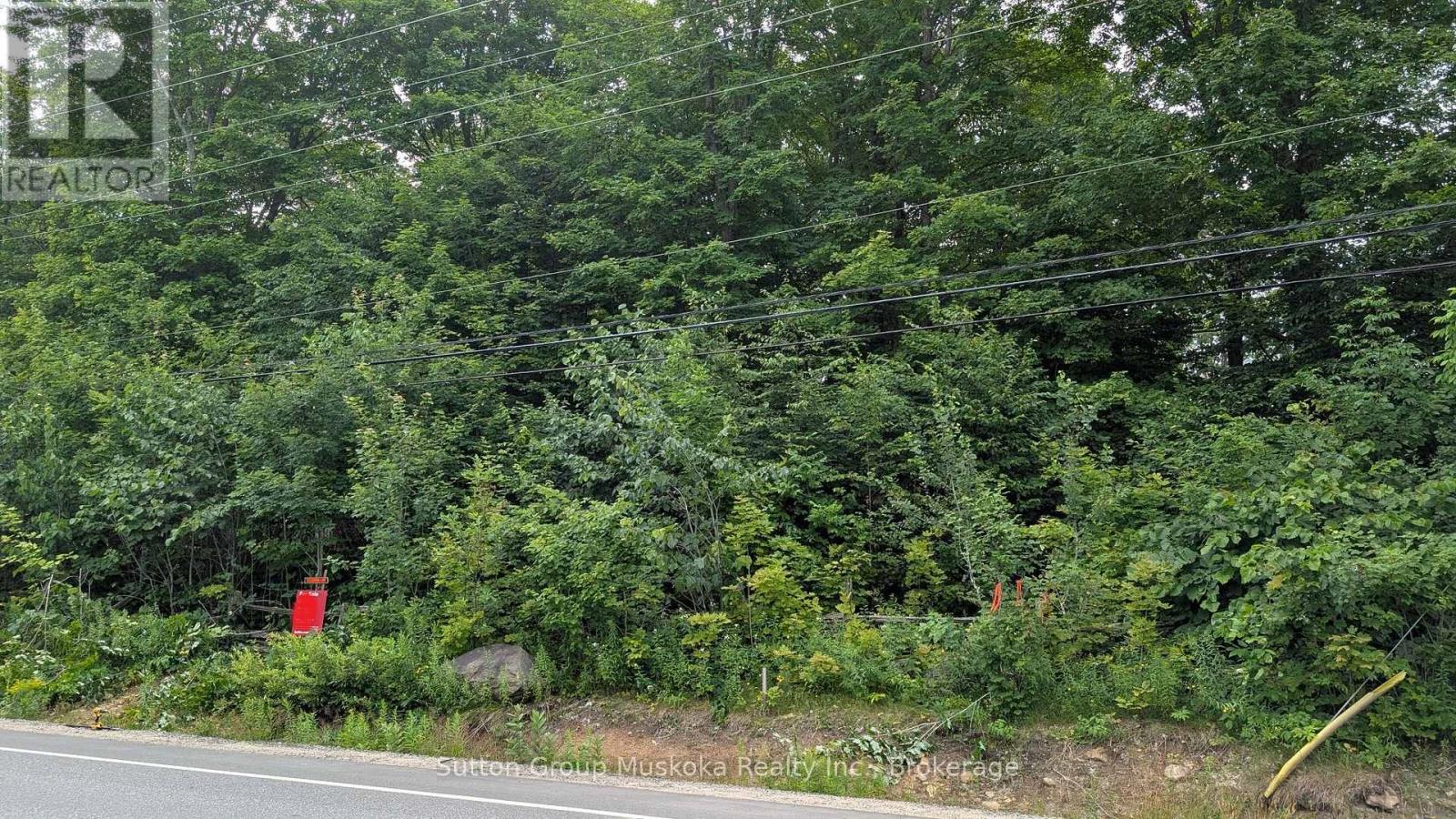 837 Aspdin Road, Huntsville, Ontario P1H 0H2 - Photo 8 - X12944008