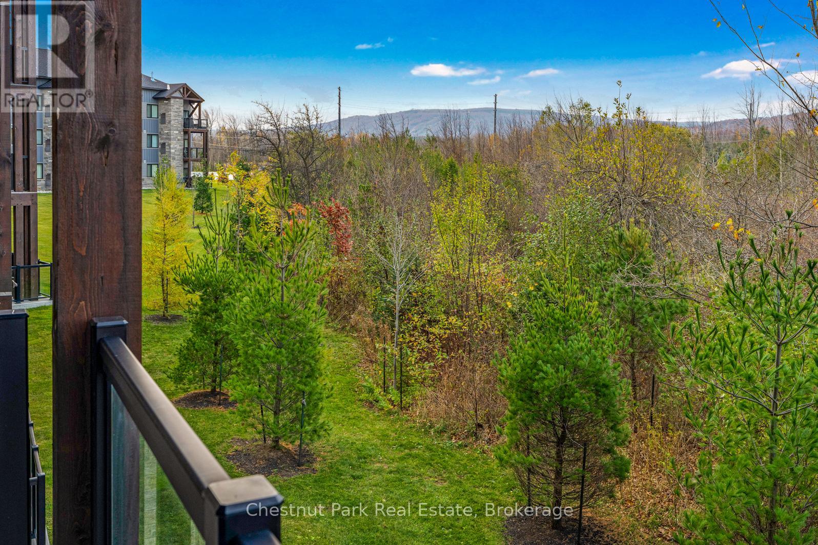 202 - 18 Beckwith Lane, Blue Mountains, Ontario  L9Y 3B6 - Photo 15 - X12944132