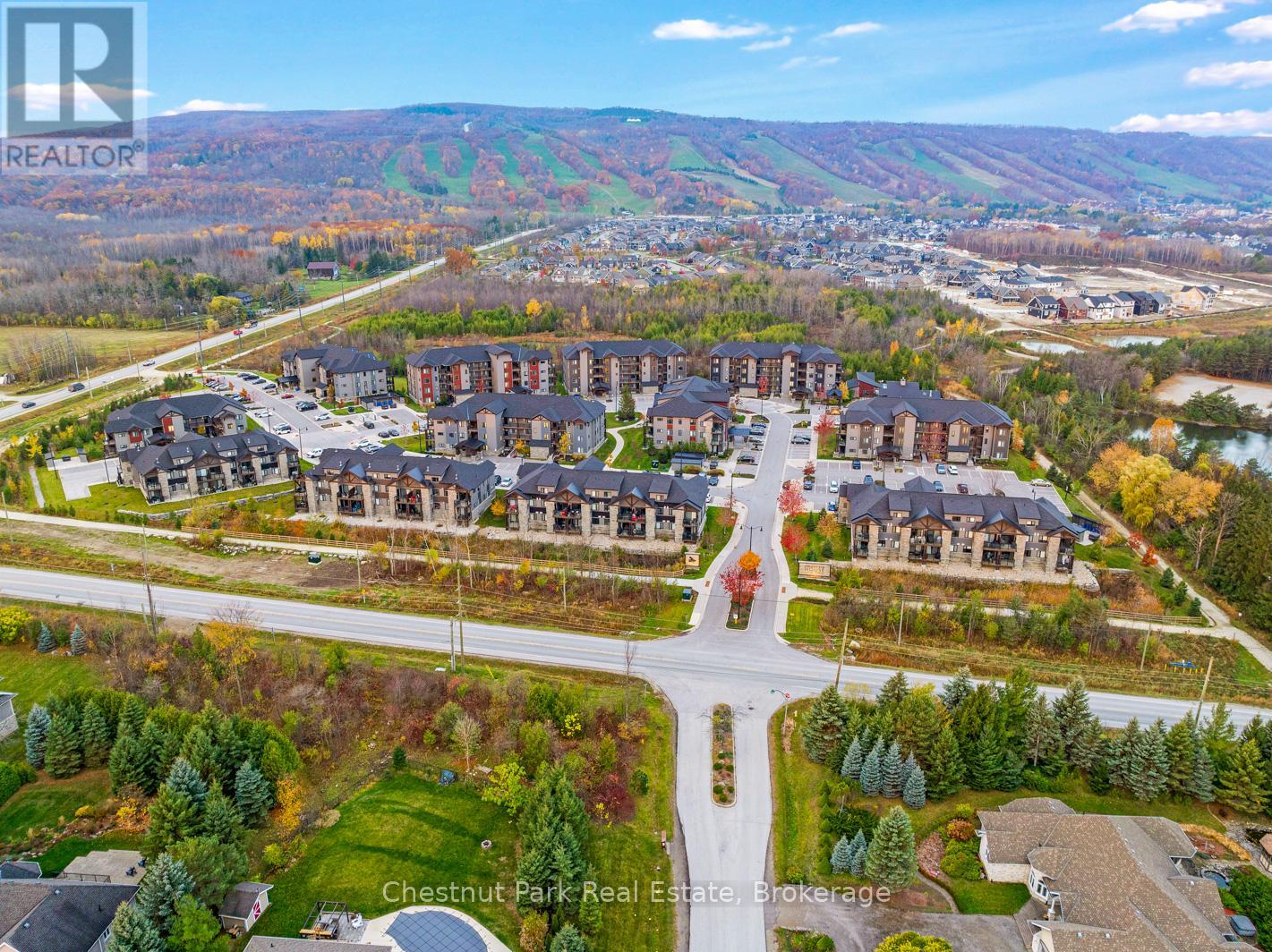 202 - 18 Beckwith Lane, Blue Mountains, Ontario  L9Y 3B6 - Photo 46 - X12944132