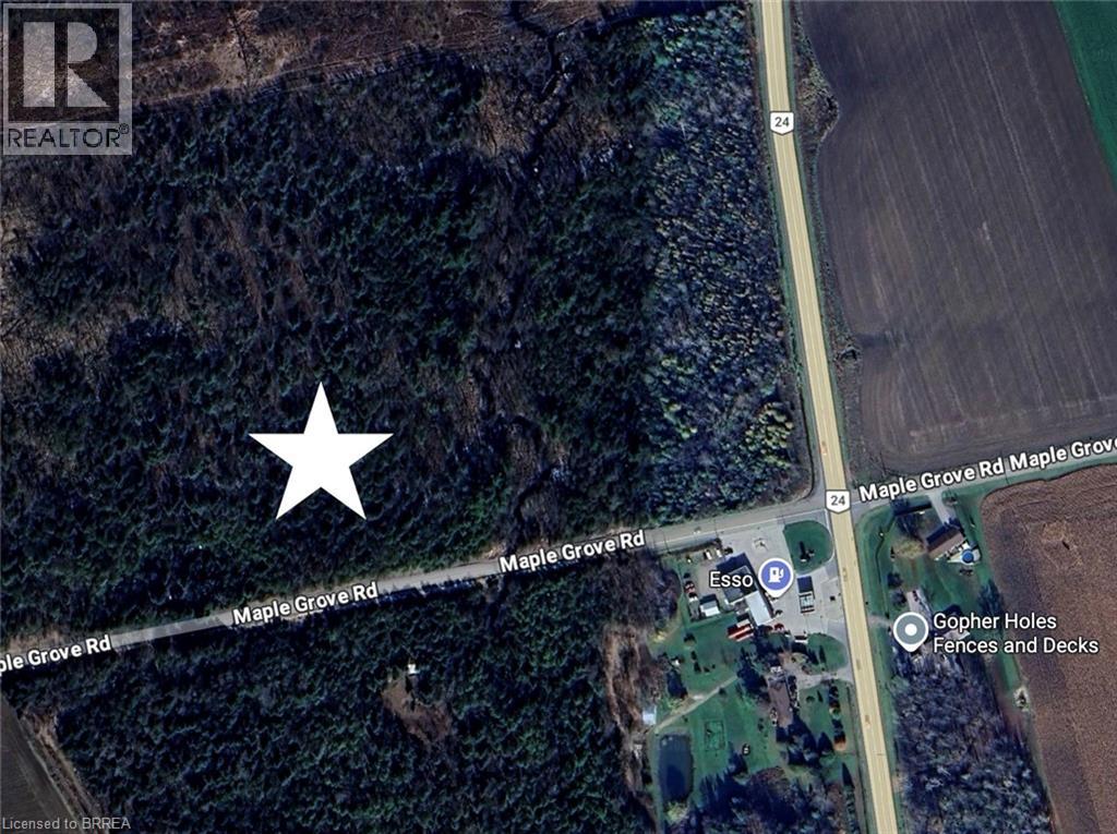 000 Maple Grove Road, Scotland, Ontario  N0E 1R0 - Photo 2 - 40815564