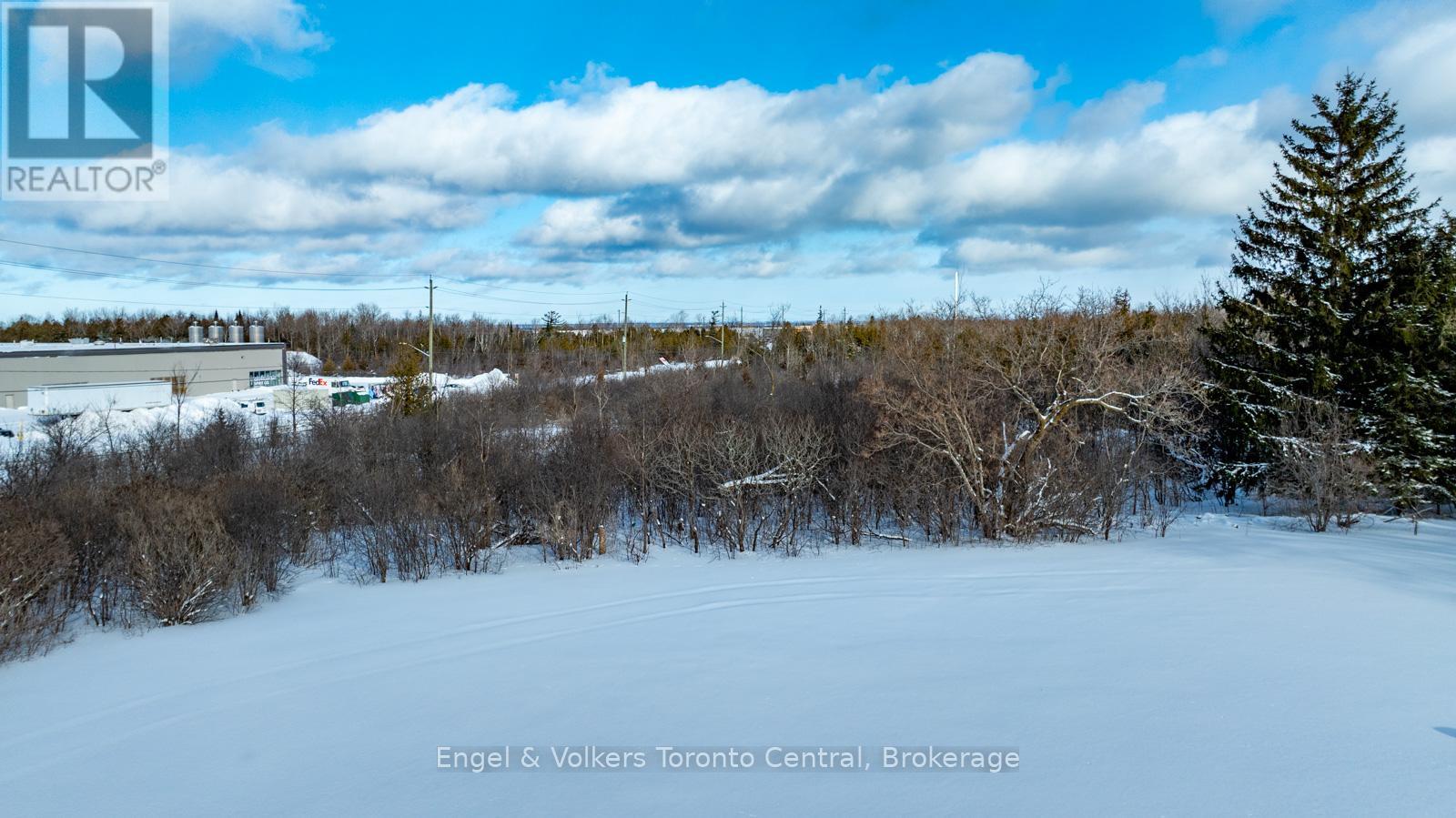401 Raglan Street, Collingwood, Ontario  L9Y 5P9 - Photo 10 - S12944460
