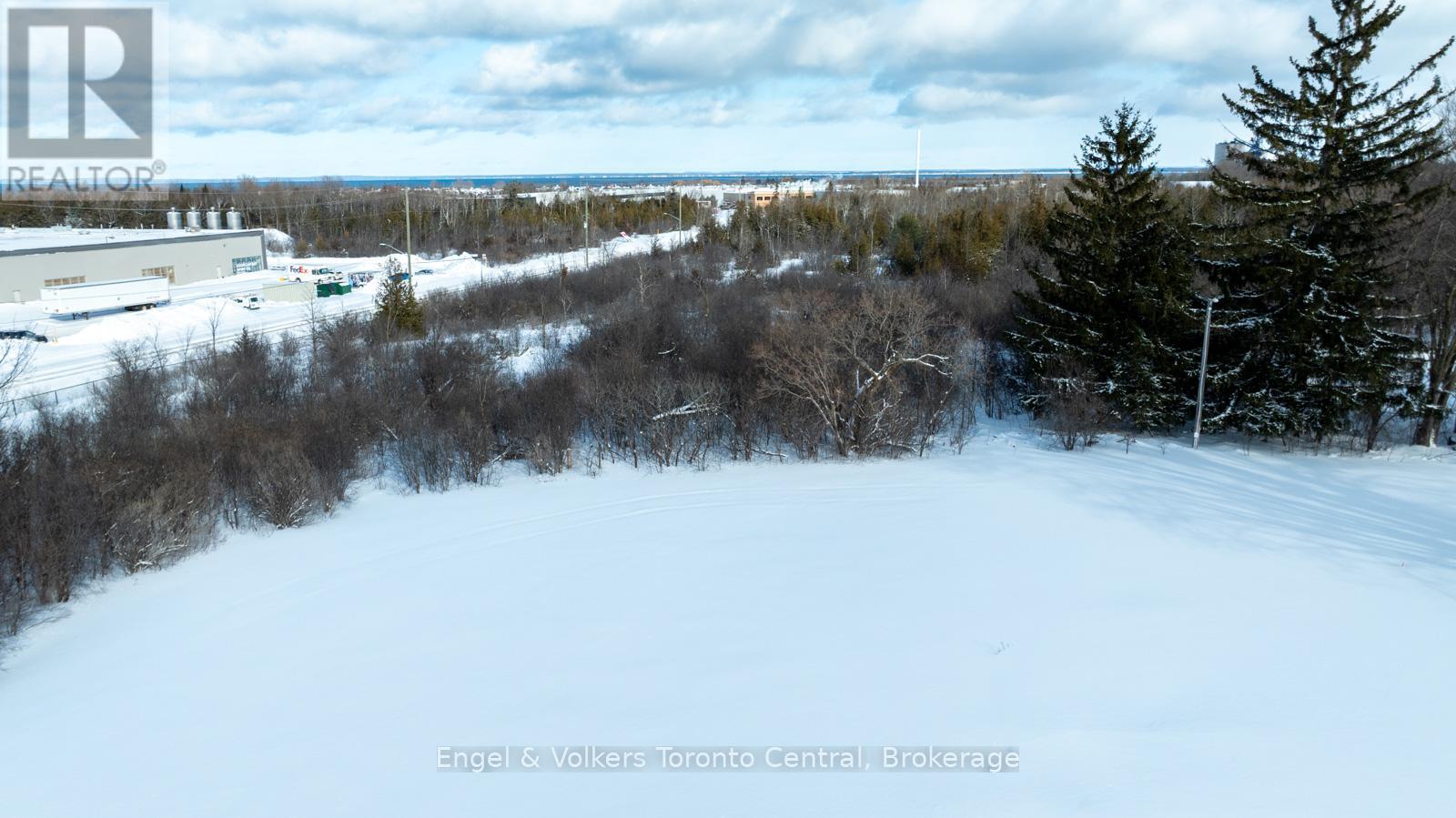 401 Raglan Street, Collingwood, Ontario  L9Y 5P9 - Photo 9 - S12944460