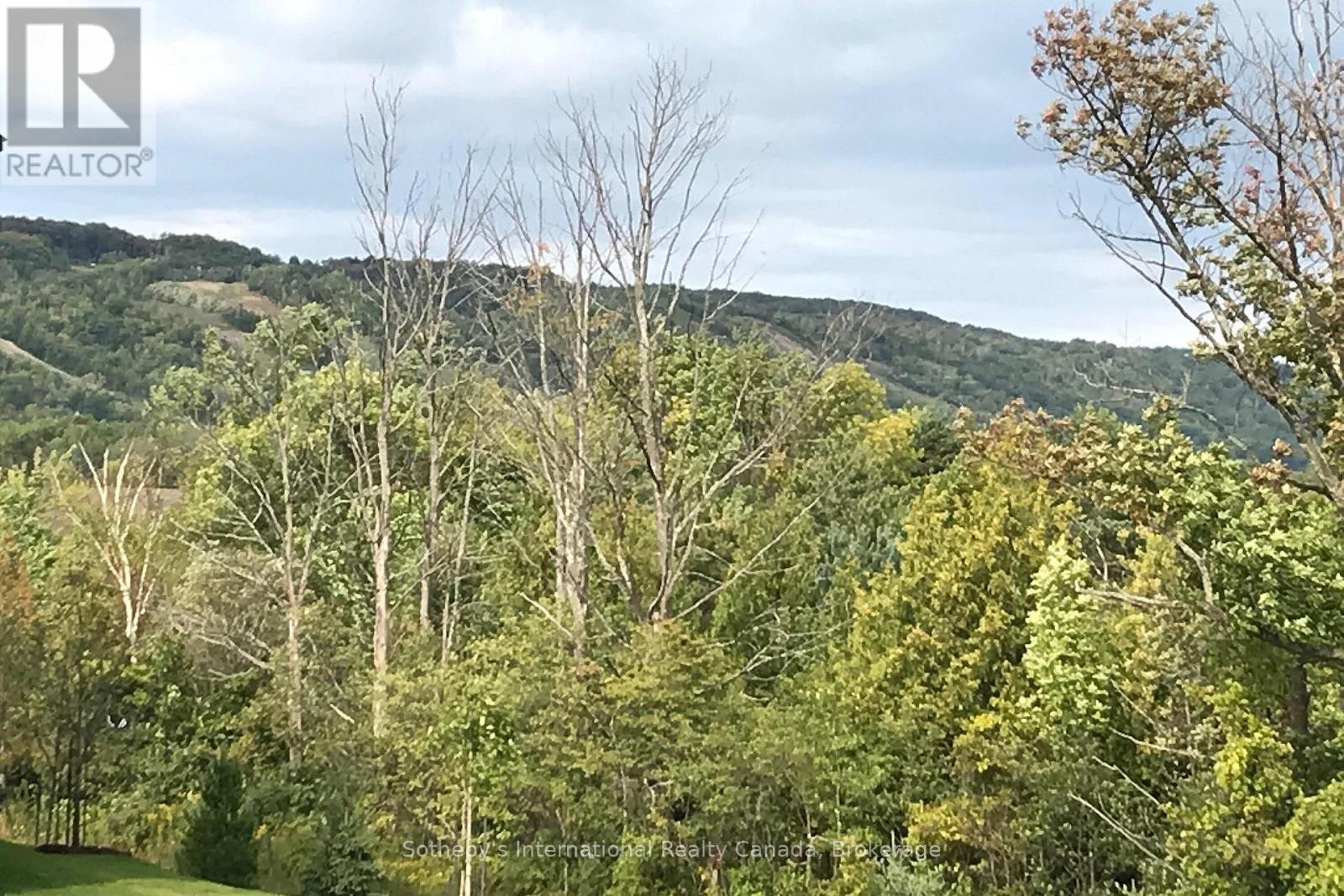 206 - 10 Beckwith Lane, Blue Mountains, Ontario  L9Y 0A4 - Photo 11 - X12944430