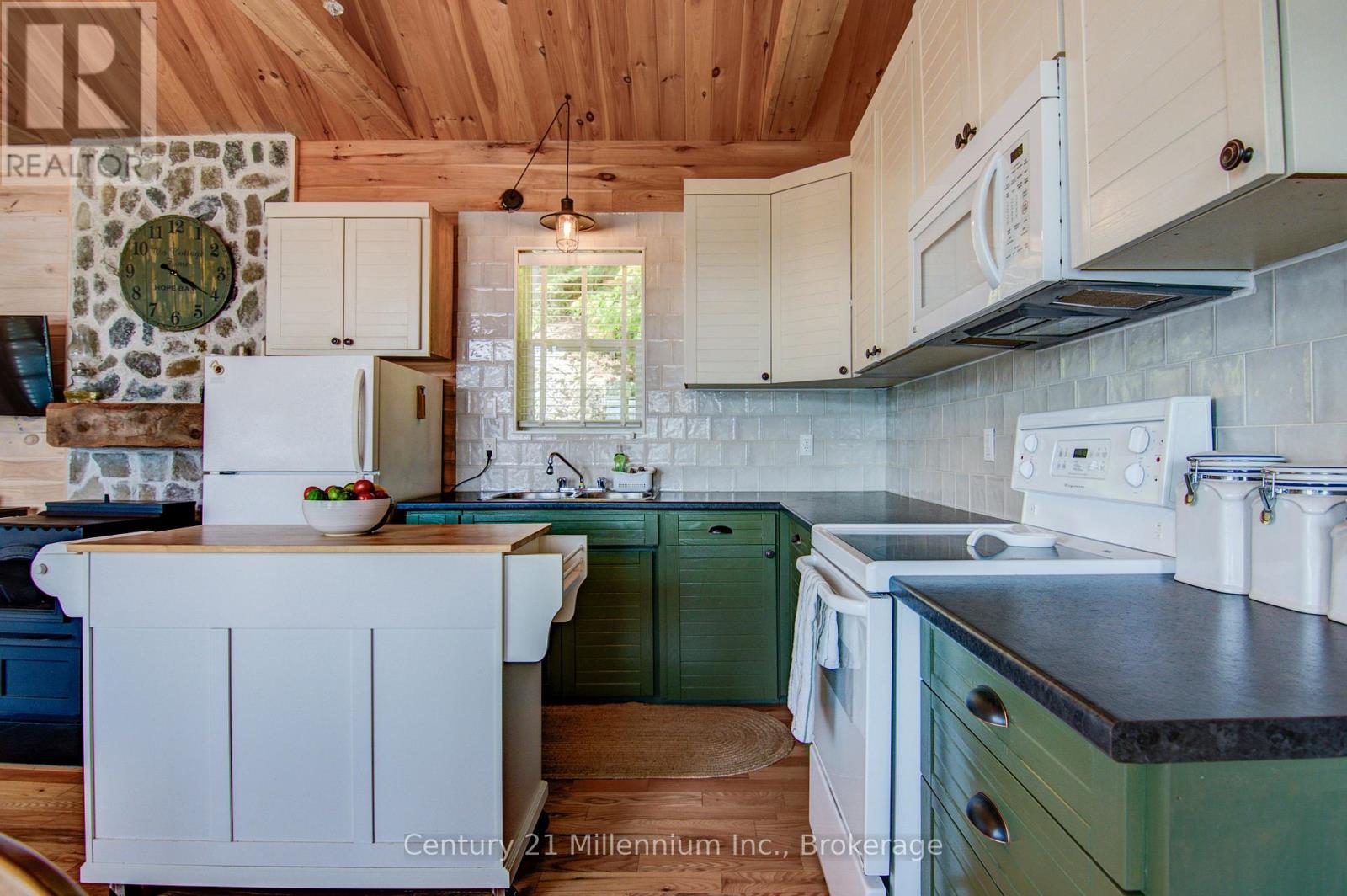 113 Water Street, Northern Bruce Peninsula, Ontario  N0H 1W0 - Photo 23 - X12944474