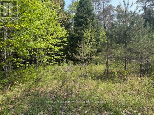 147 So Ho Mish Road, Perry, Ontario  P0A 1L0 - Photo 10 - X12944592