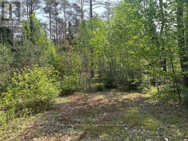 147 So Ho Mish Road, Perry, Ontario  P0A 1L0 - Photo 2 - X12944592