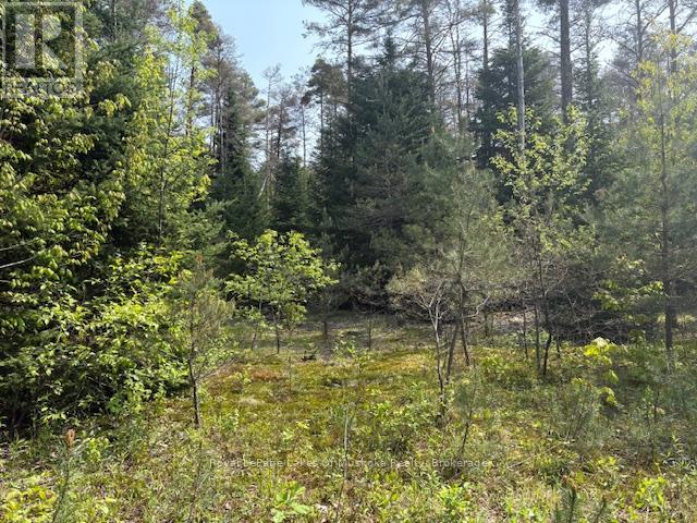 147 So Ho Mish Road, Perry, Ontario  P0A 1L0 - Photo 3 - X12944592