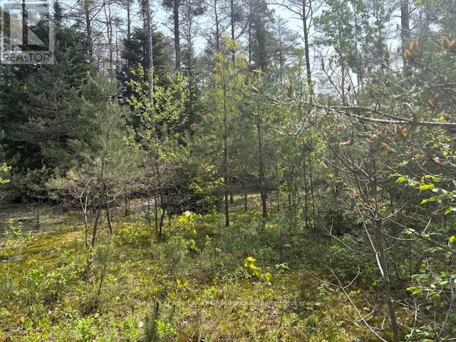 147 So Ho Mish Road, Perry, Ontario  P0A 1L0 - Photo 4 - X12944592