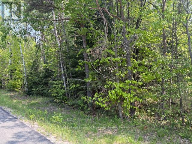 147 So Ho Mish Road, Perry, Ontario  P0A 1L0 - Photo 5 - X12944592