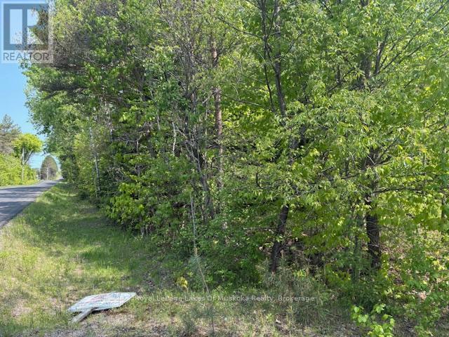 147 So Ho Mish Road, Perry, Ontario  P0A 1L0 - Photo 8 - X12944592