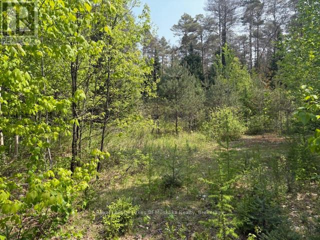 147 So Ho Mish Road, Perry, Ontario  P0A 1L0 - Photo 9 - X12944592