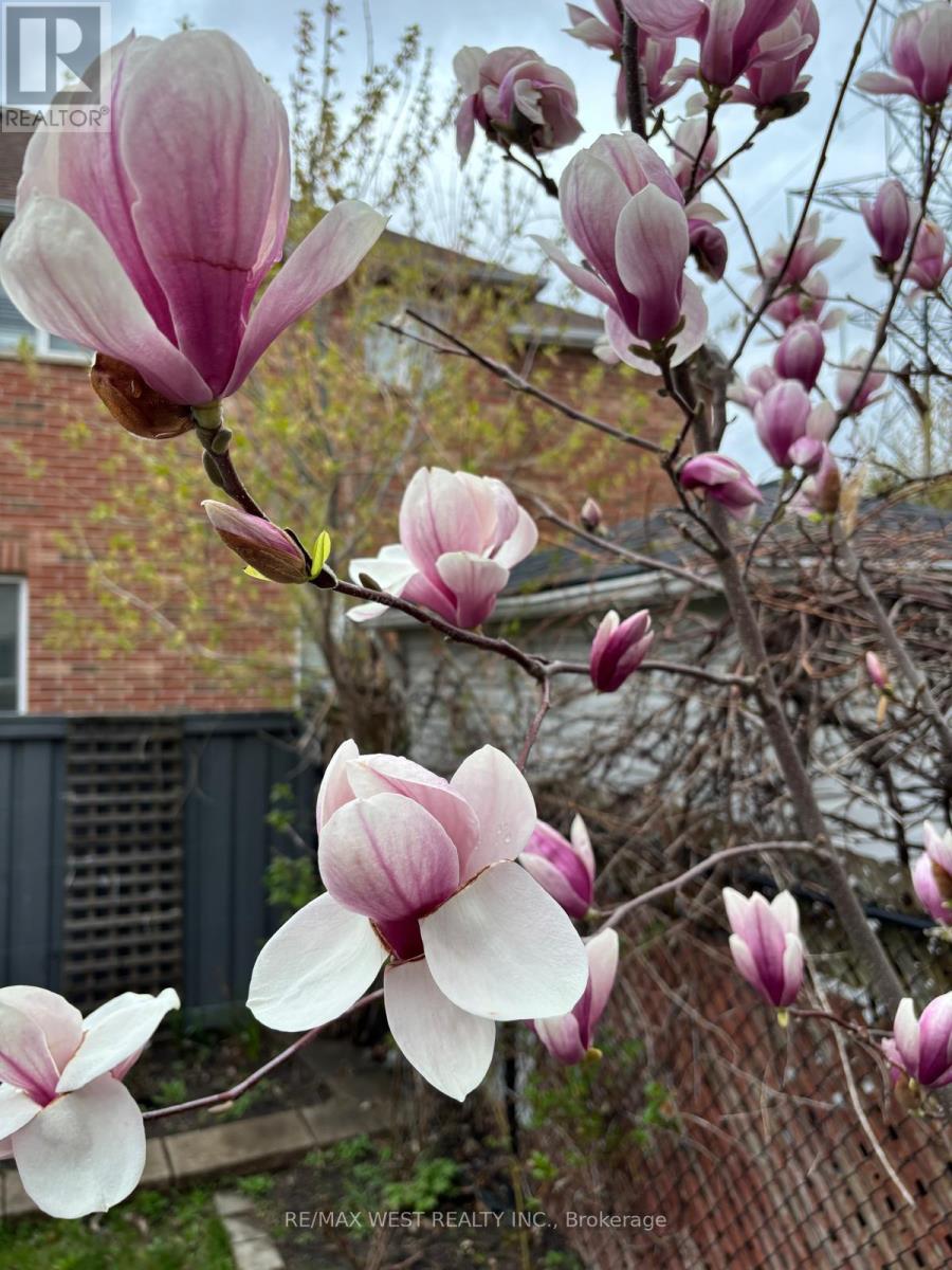 682 Napa Valley Avenue, Vaughan, Ontario  L4H 2J1 - Photo 47 - N12943204